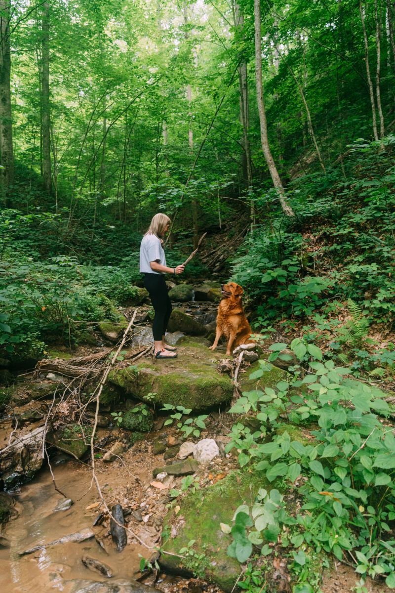 ashleyglass145 ashleyglass145