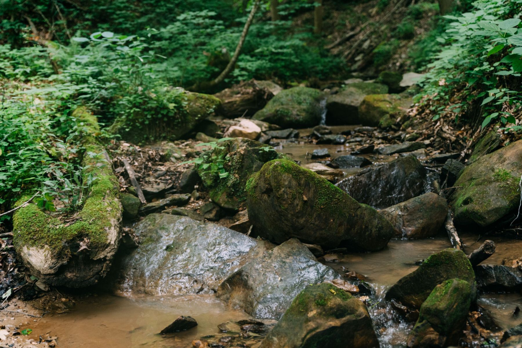 ashleyglass147 ashleyglass147