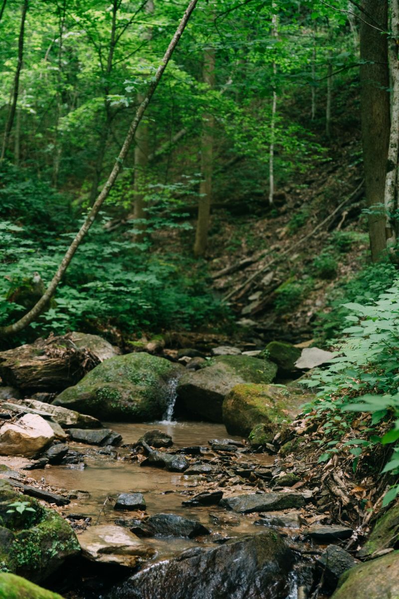 ashleyglass148 ashleyglass148