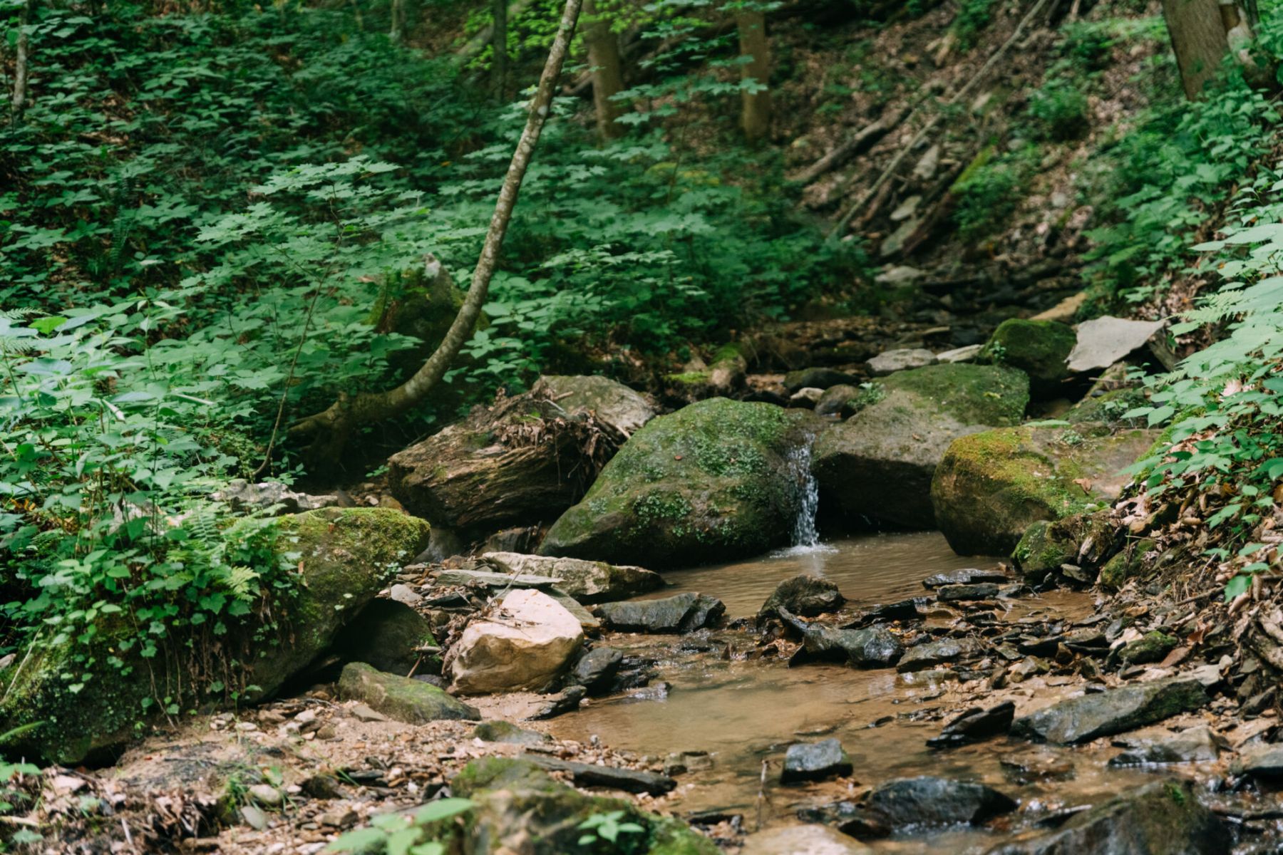 ashleyglass150 ashleyglass150