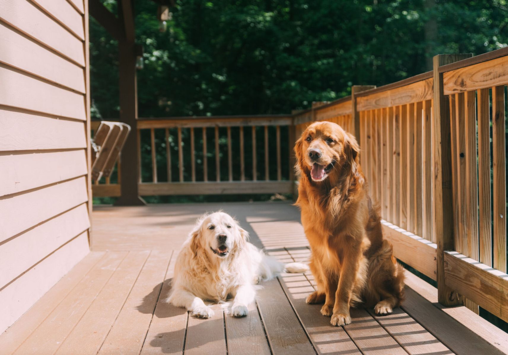 ashleyglass92 ashleyglass92